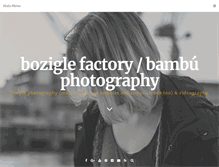 Tablet Screenshot of boziglefactory.com